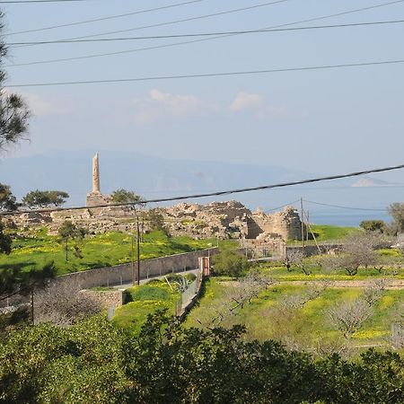 Kalokenti Studios Aegina Zimmer foto